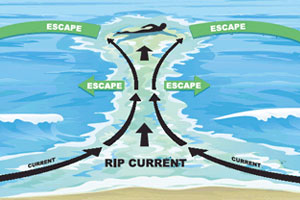 how to bodysurf beware of rip currents