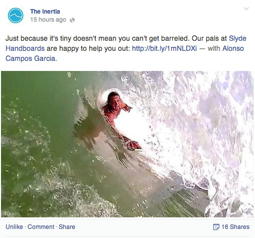 The Inertia Slyde Handboards Phish Kickstarter