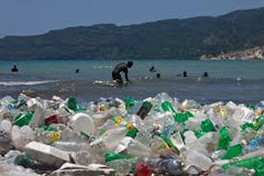 Ocean Pollution facts
