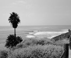 Bliss 101 Photography Rob Machado