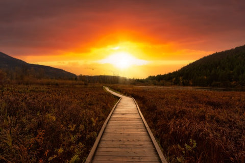 wooden walking path during sunset