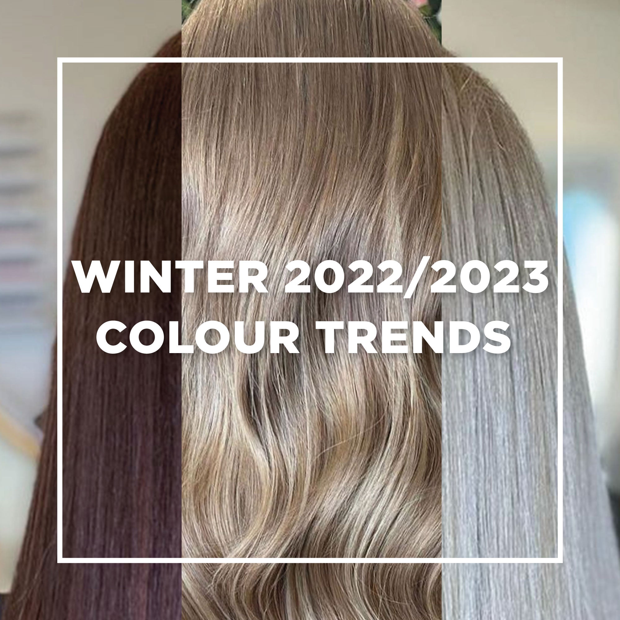 Hair Colours We Expect To Trend In Winter 2022/2023 – Remi Cachet