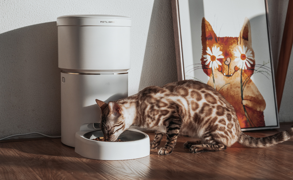 Benefits of an Automatic Cat Feeder with App-Controlled Remote Feeding