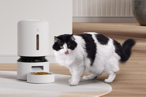 cat feeder with camera