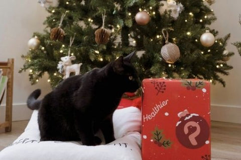 gift guide for pets