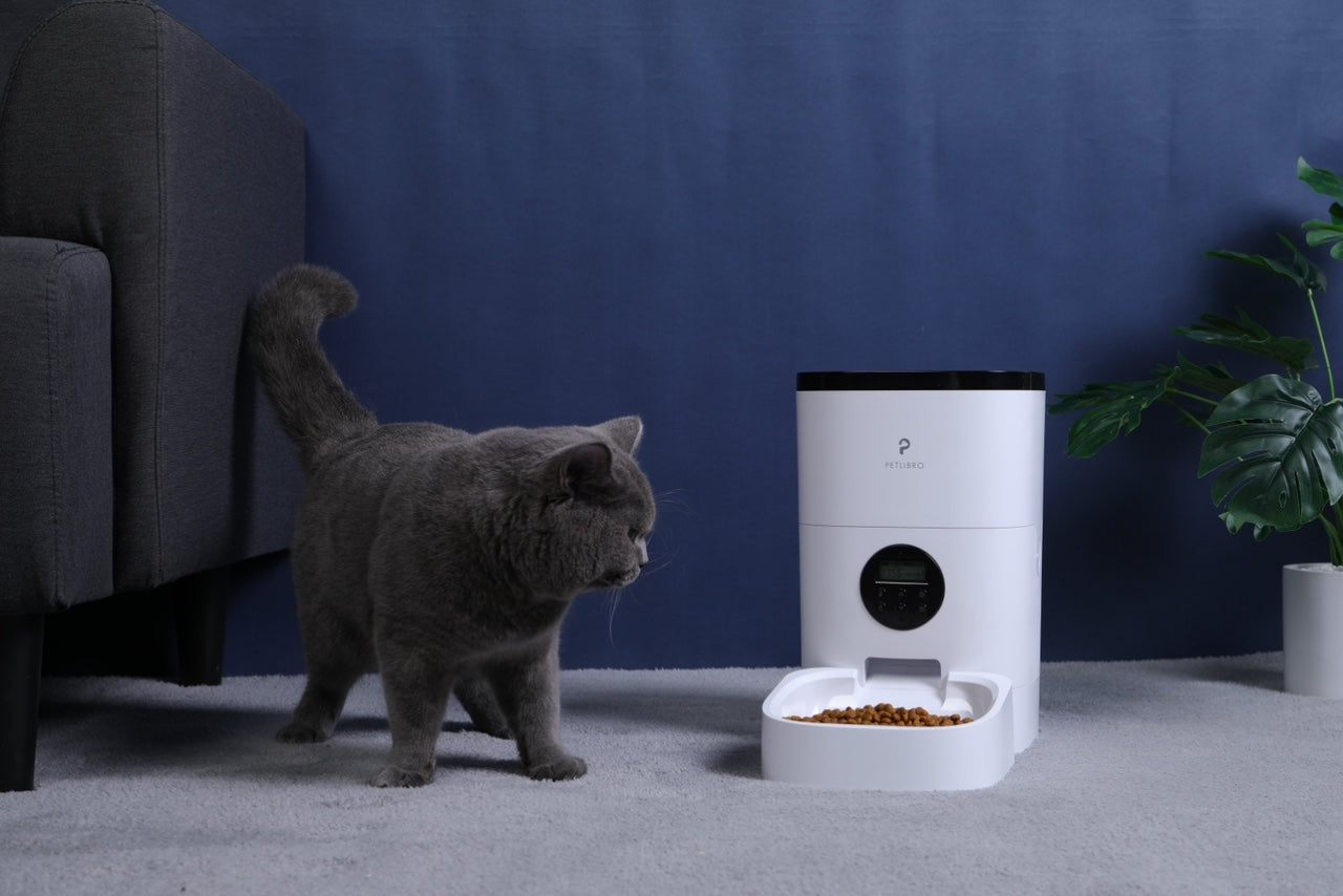 petlibro automatic cat feeder red light