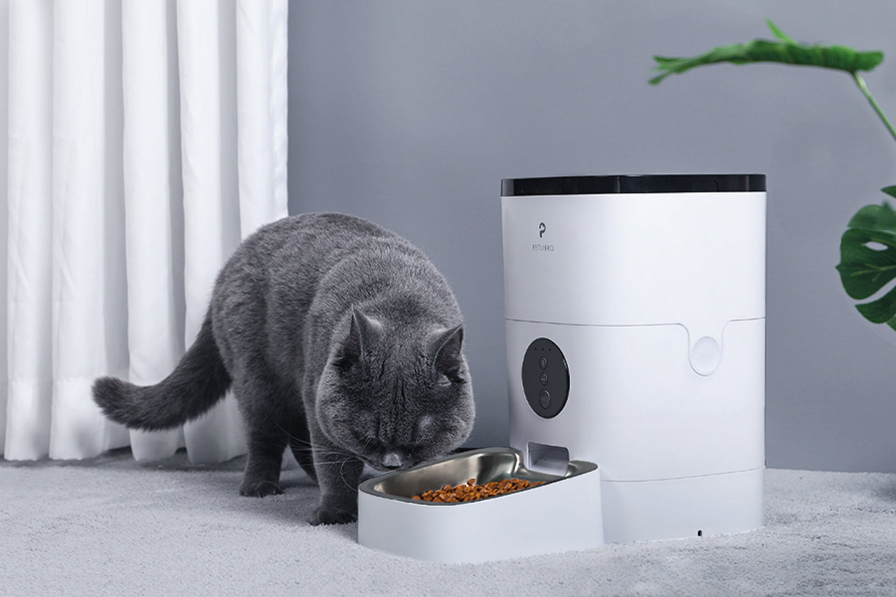 QLIFE Automatic Cat Dog Feeder: Dry Food Dispenser for Dog, Auto