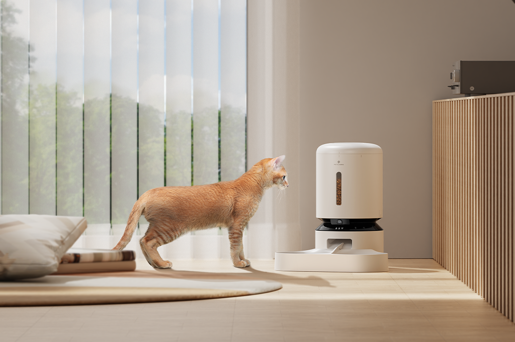 How to Choose The Best PETLIBRO Feeder for Your Pet