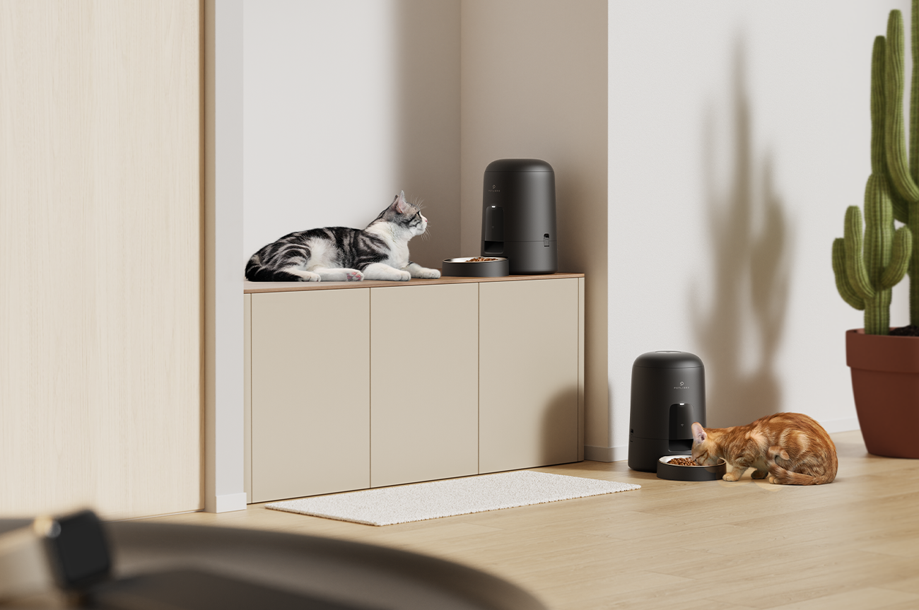 PETLIBRO:Smart, Cordless, Compact: The Wireless Feeder That Does It All