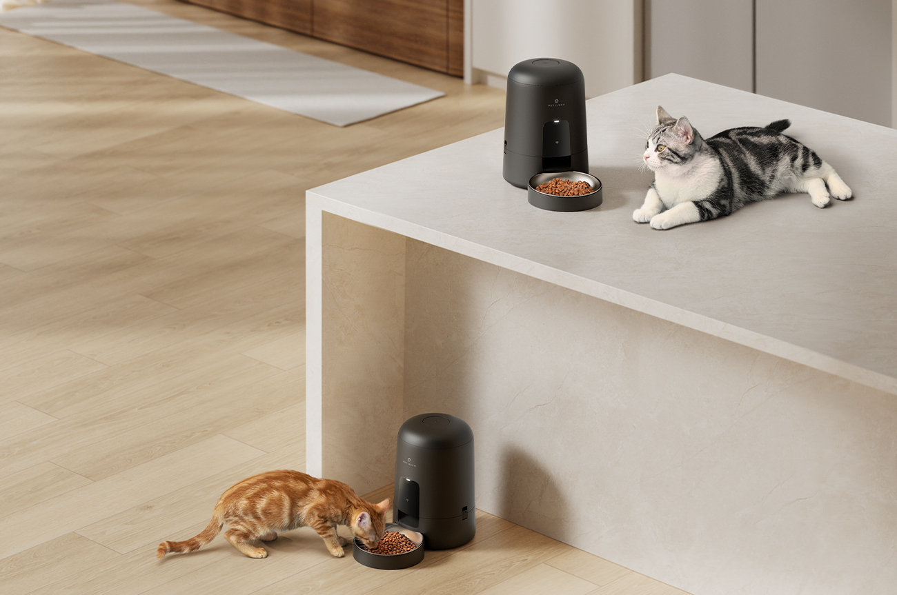 PETLIBRO:Smart, Cordless, Compact: The Wireless Feeder That Does It All