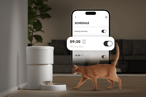 PETLIBRO Space Automatic Pet Feeder, App Control for Optimal Feeding Convenience