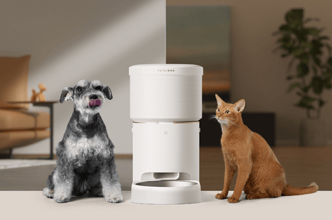 PETLIBRO Space Automatic Pet Feeder, Catering to the Needs of Both Cats and Dogs