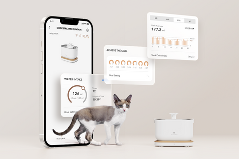 PETLIBRO Dockstream App Monitoring Water Fountain