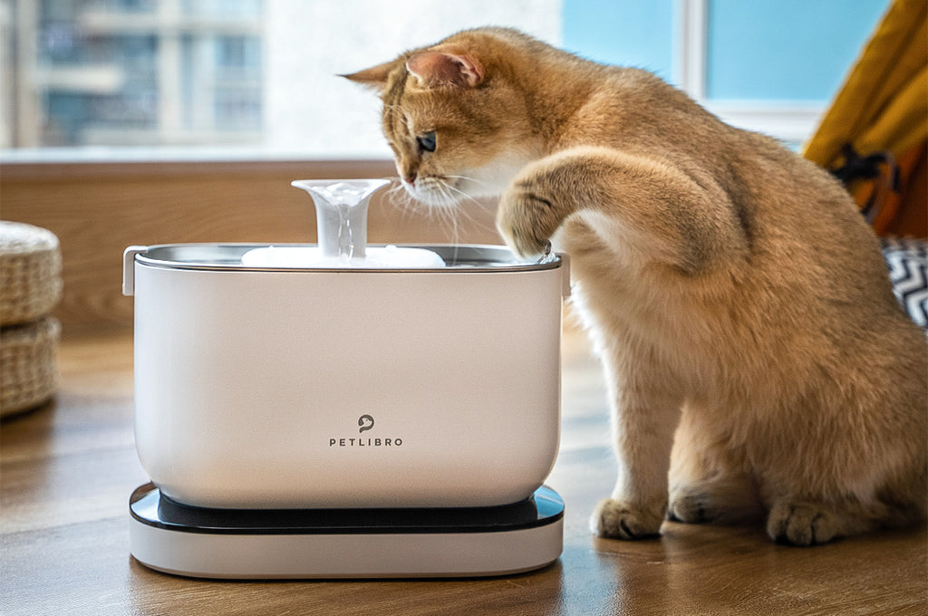 Petlibro Water Fountain