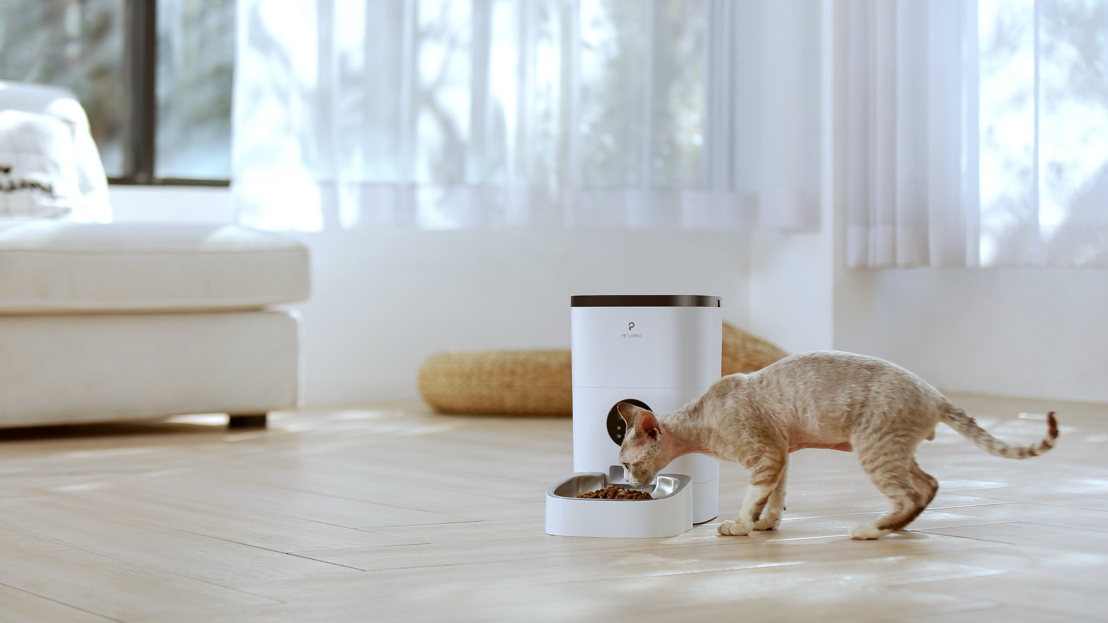 Best Automatic Cat Food Dispenser and Pet Feeder | Petlibro