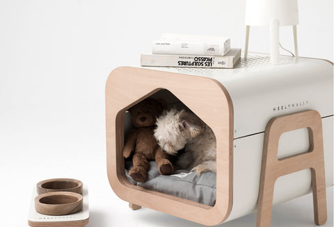 Minimalistic Style Meets Comfort In These Pet Friendly Furniture