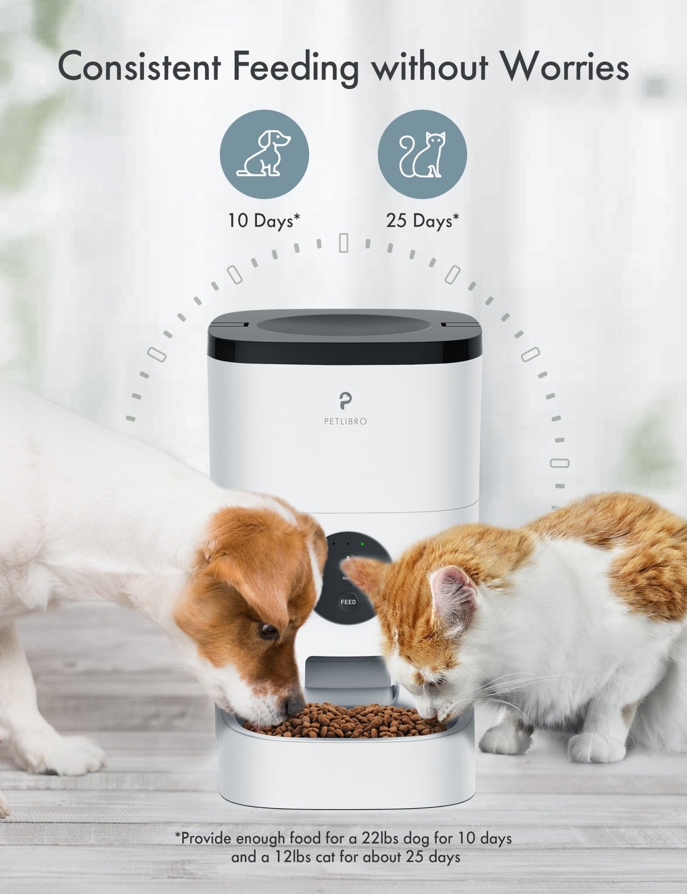 petlibro automatic cat feeder set up