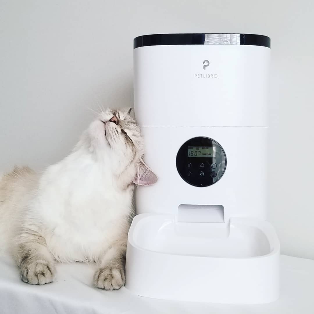 petlibro automatic cat feeder