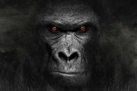 Red Eyes Gorilla