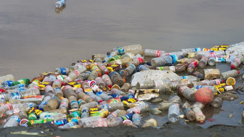 pollution plastique pet bisphénol bouchon