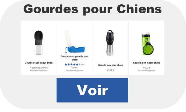 Gourdes pour chiens