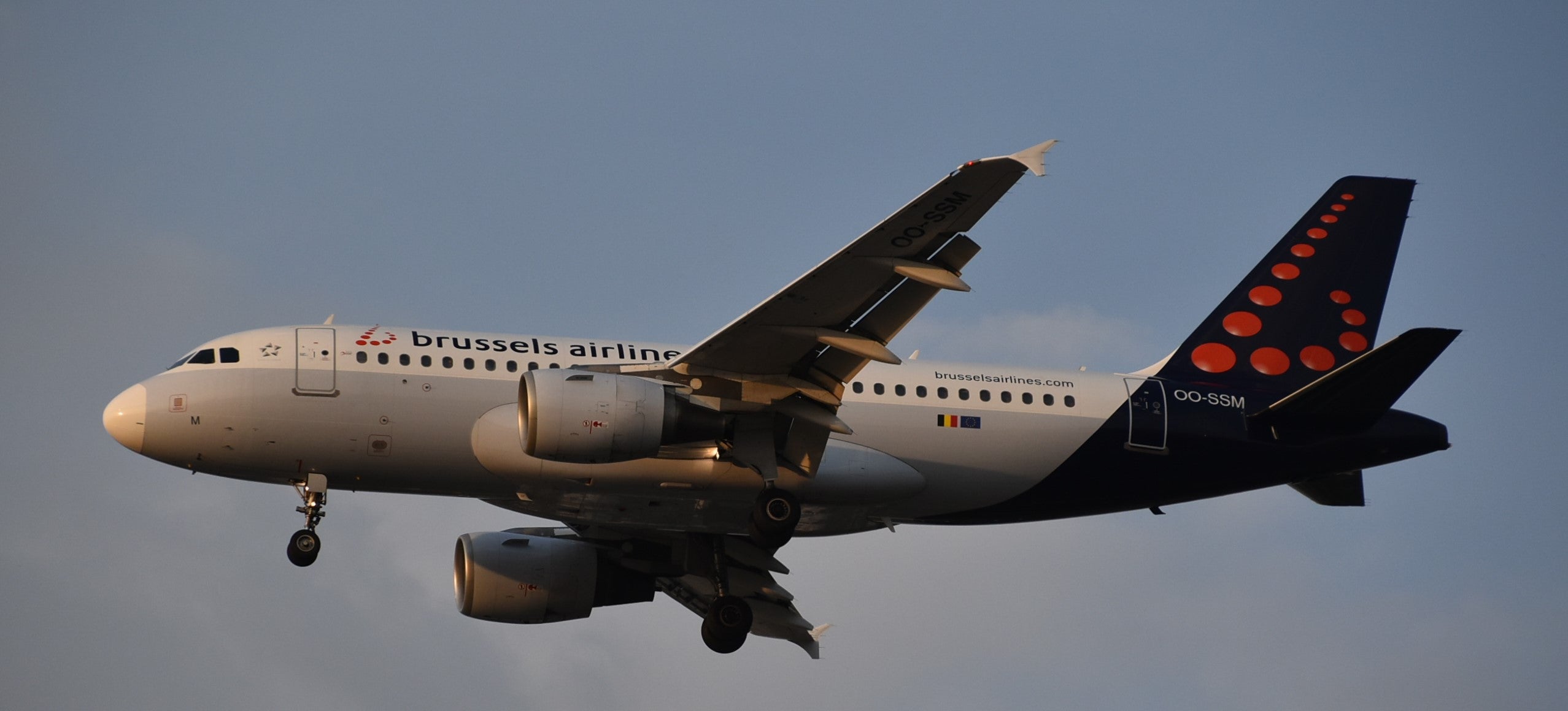 Brussels Airlines Aviationtag Edition A319 OO-SSM