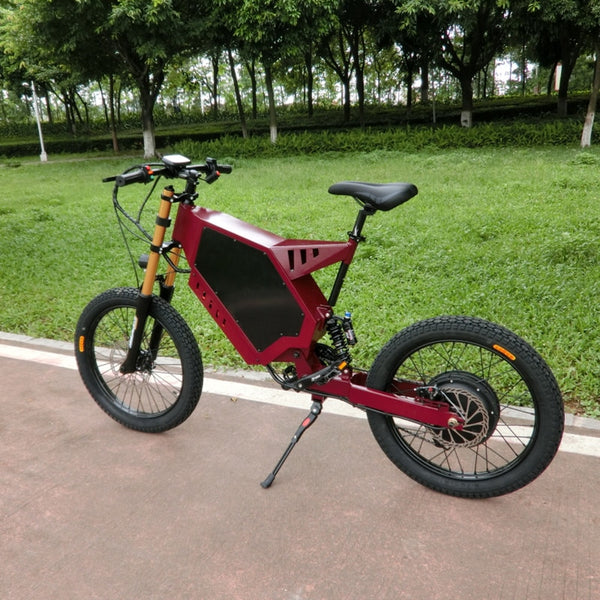 electric bike with passenger seat