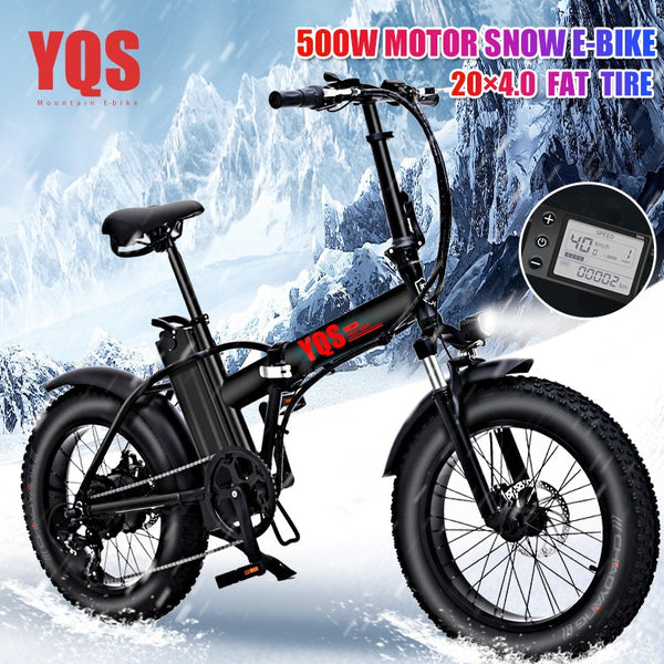 fat bike ebike