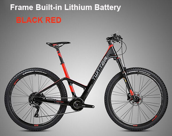 carbon fiber electric bicycle