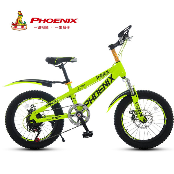 20in boys bicycle