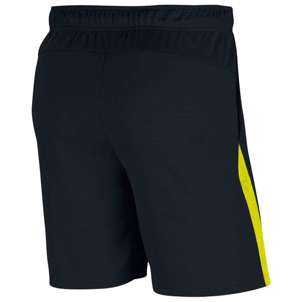 Nike Dri-Fit Men's Training Shorts