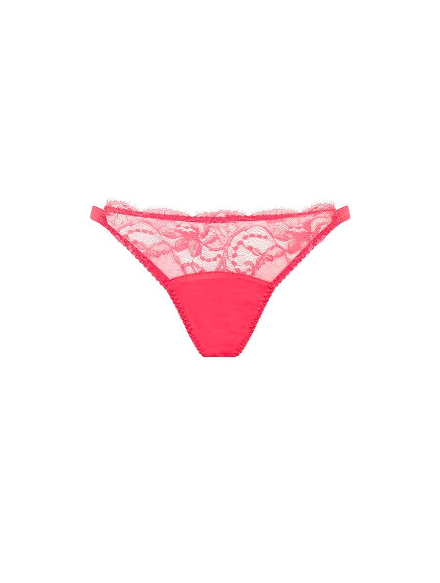 Camellia Ouvert Brief | Fleur of England