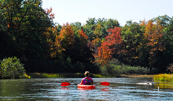 A kayaker paddling, surrounded by trees in vivid fall colors