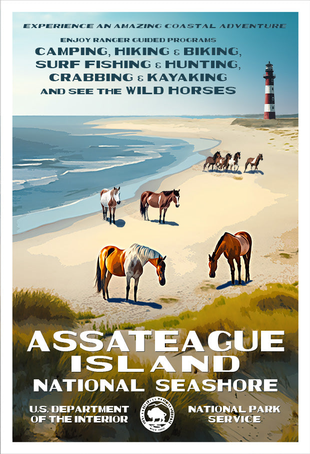 Assateague Island National Seashore Poster | Robert B. Decker