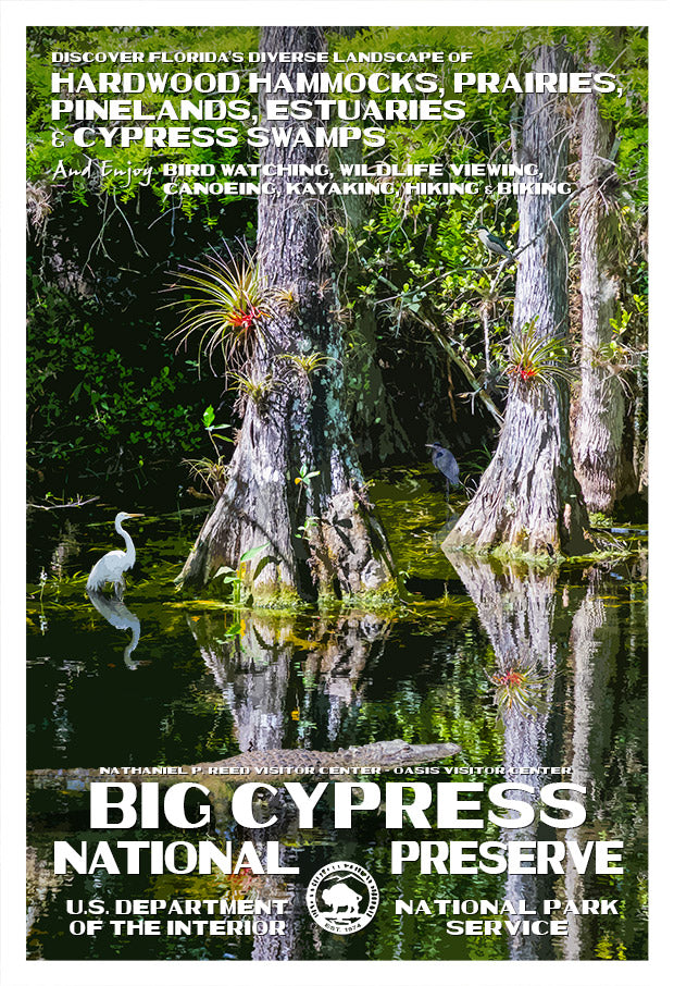 Big Cypress National Preserve | National Park Posters