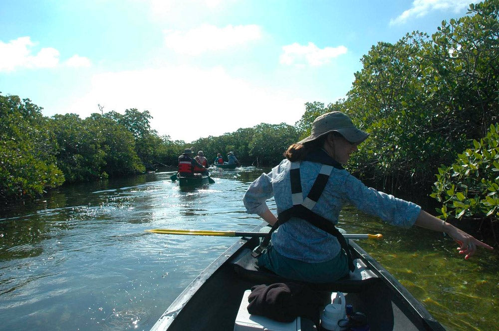 Biscayne National Park | Jones Lagoon