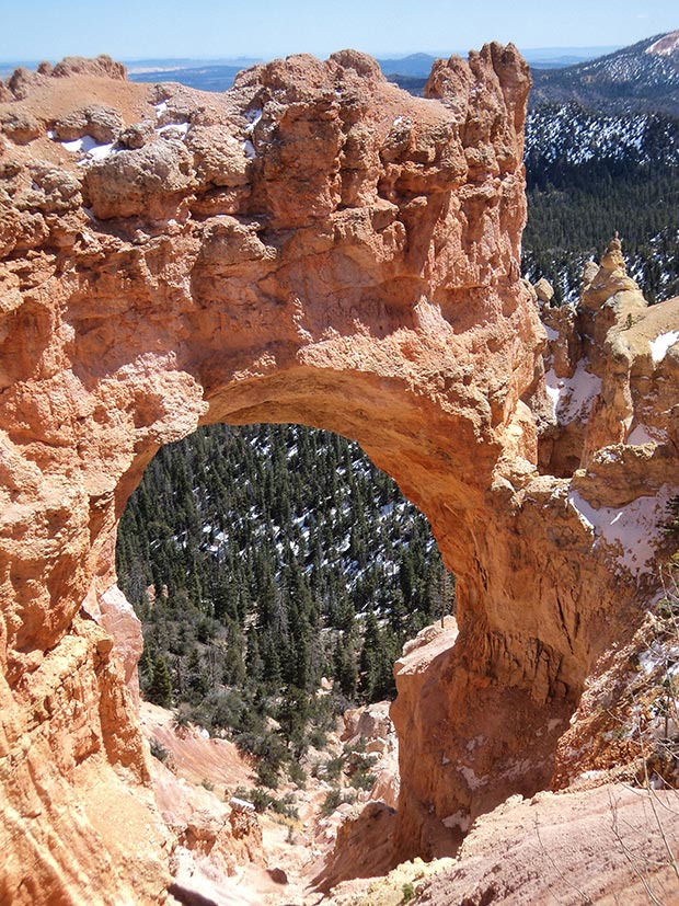 Bryce Canyon, Natural Bridge | National Park Posters