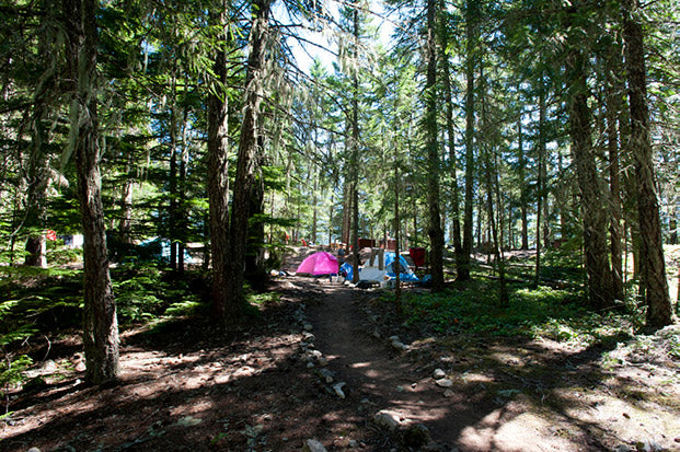 Camping, North Cascades National Park | National Park Posters