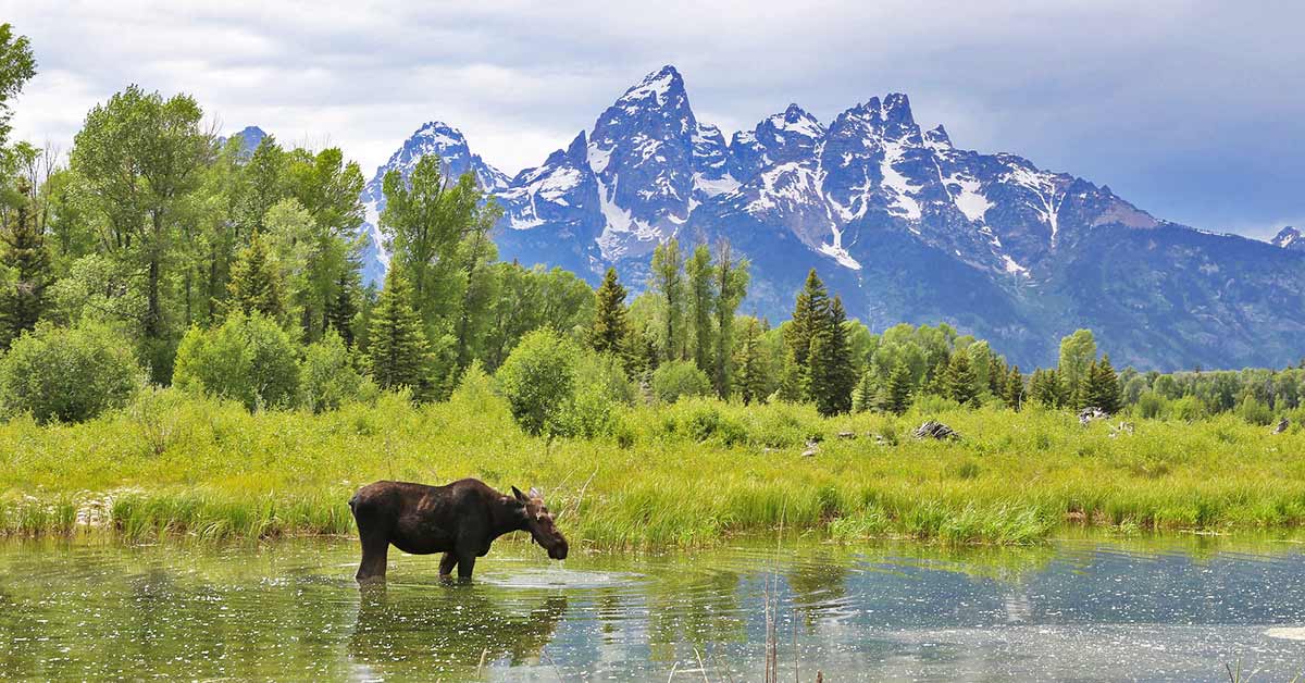 Grand Teton National Park | National Park Posters