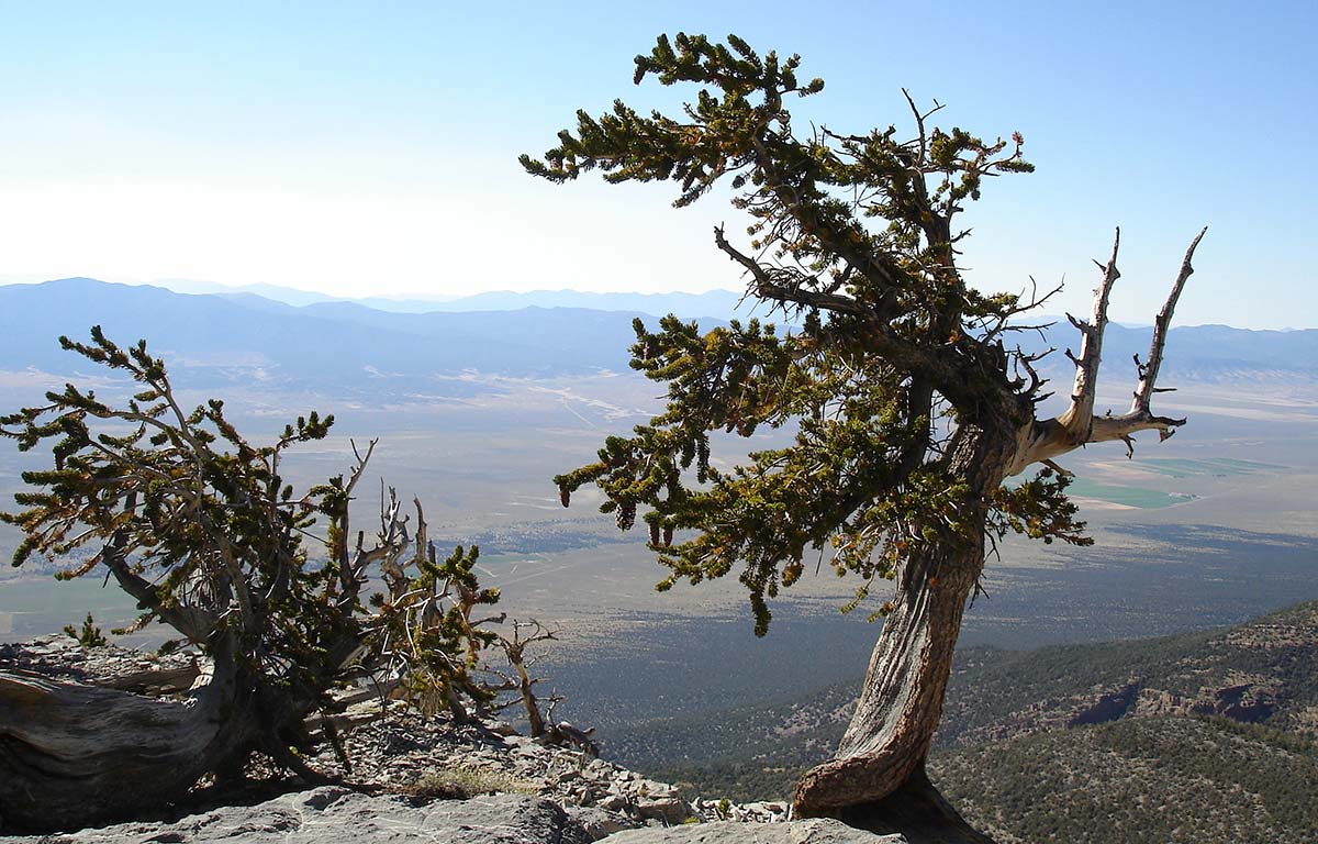 Great Basin National Park