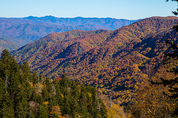 Great Smoky Mountains National Park | Robert B. Decker