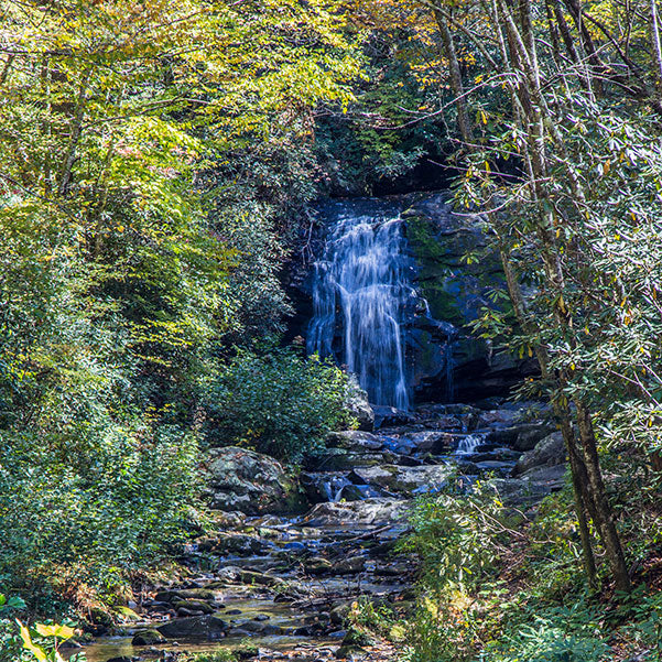 Great Smoky Mountains National Park | Robert B. Decker