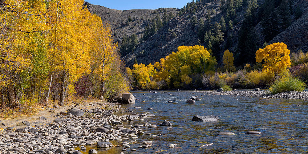 Gunnison River | National Park Posters