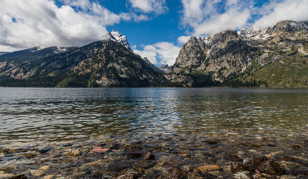 Jenny Lake, Grand Teton National Park | National Park Posters