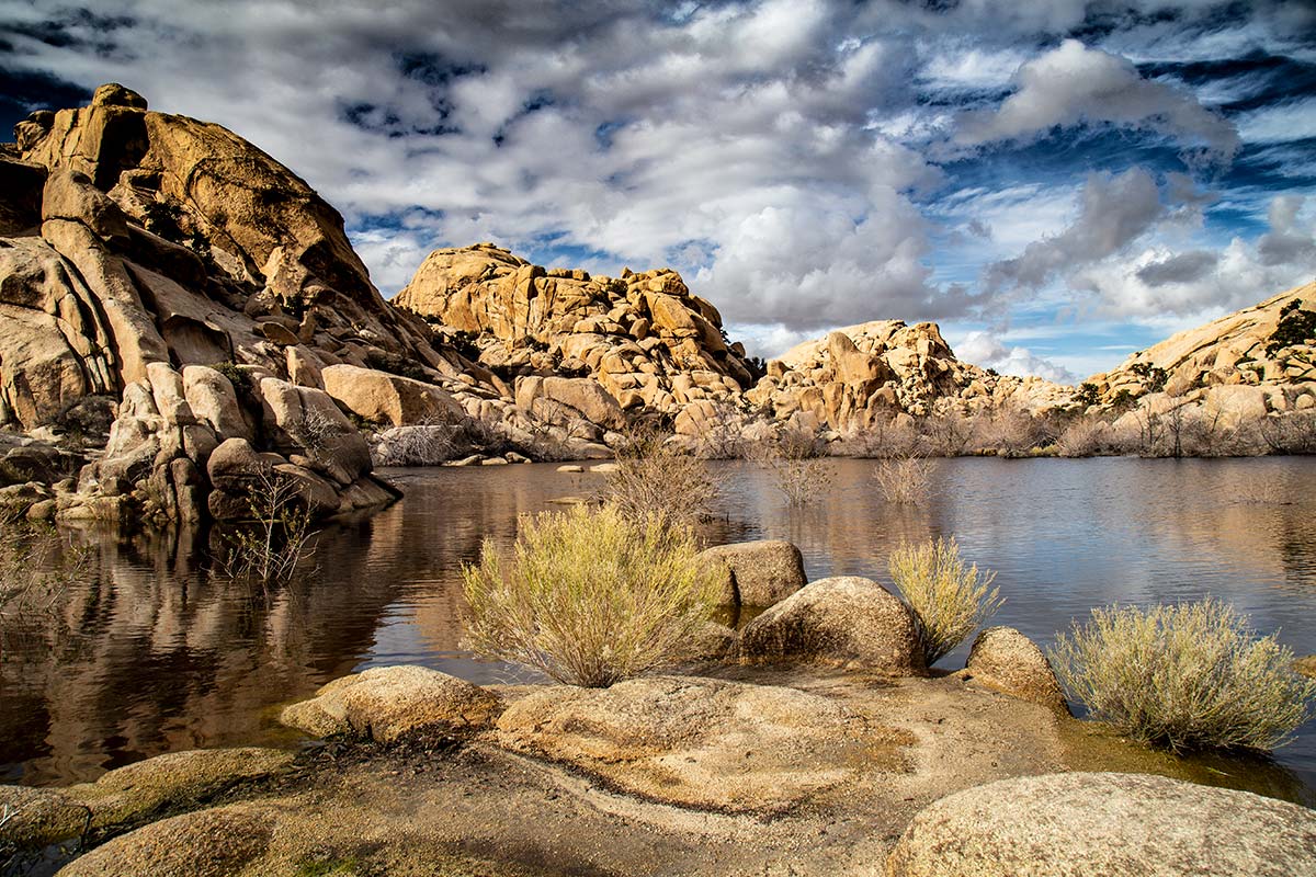 Joshua Tree National Park | Barker Dam Loop