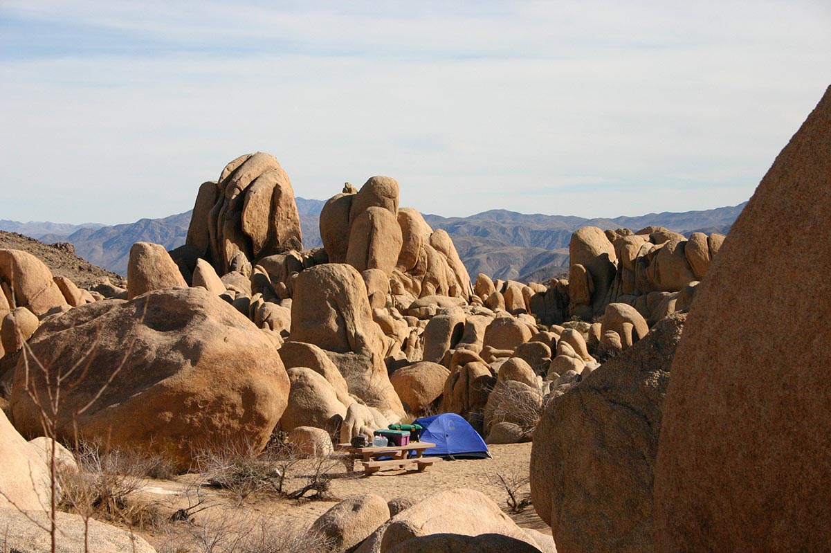 Joshua Tree National Park | Camping