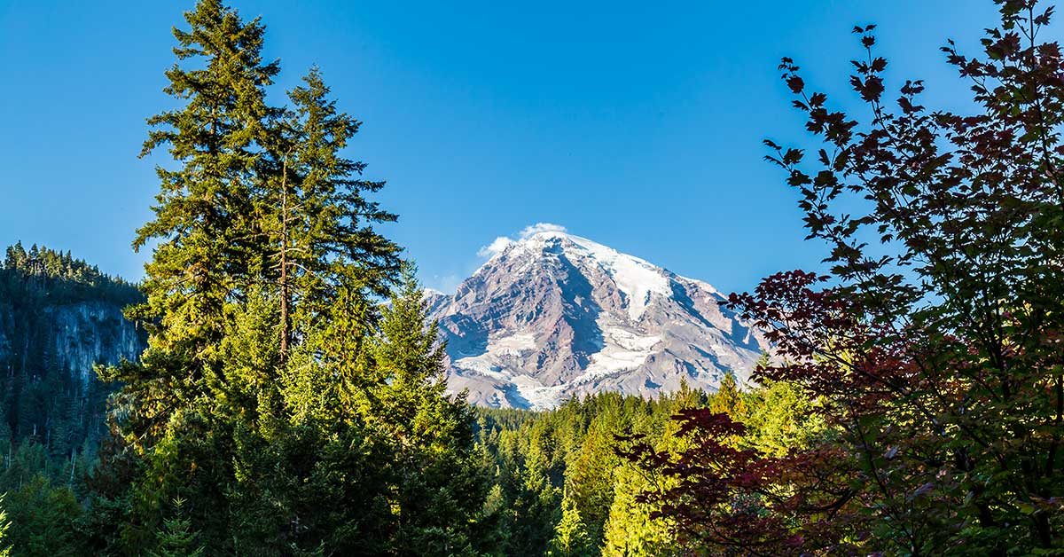 Mount Rainier from Longmire | National Park Posters