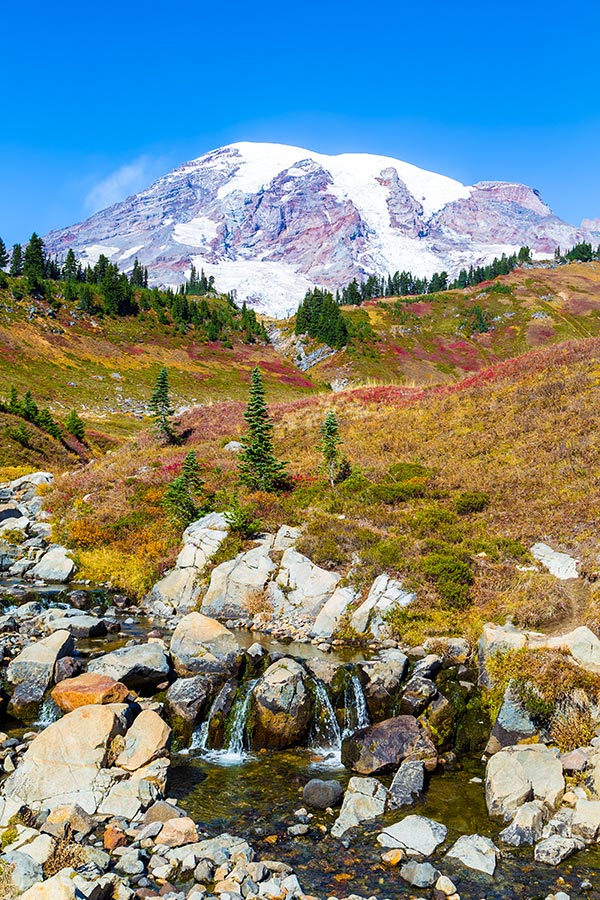 Mount Rainier from Paradise | National Park Posters