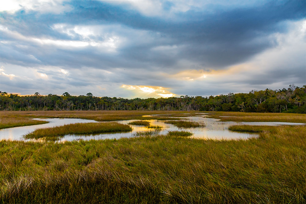 Wetlands at Round Marsh | National Park Posters