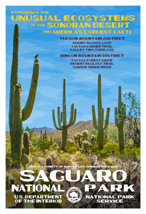 Saguaro National Park | National Park Posters